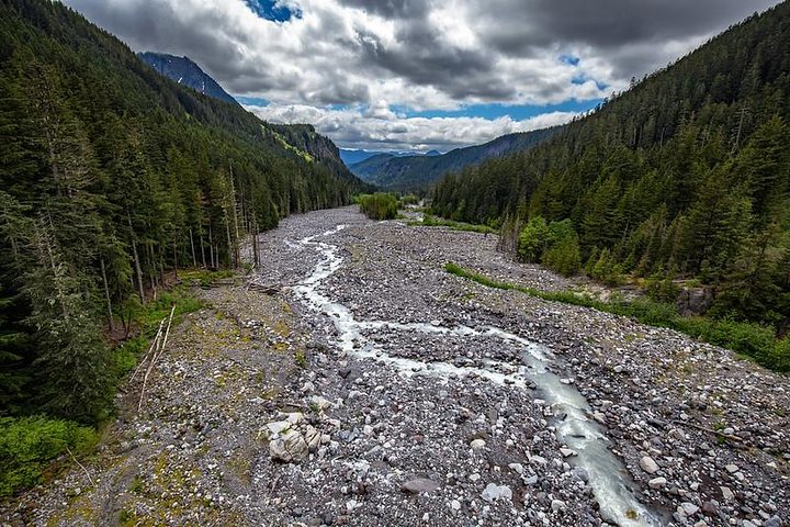 Tour en grupo pequeño explorando las maravillas naturales del Parque Nacional Mount Rainier desde Seattle, foto 21 | wizardtrip