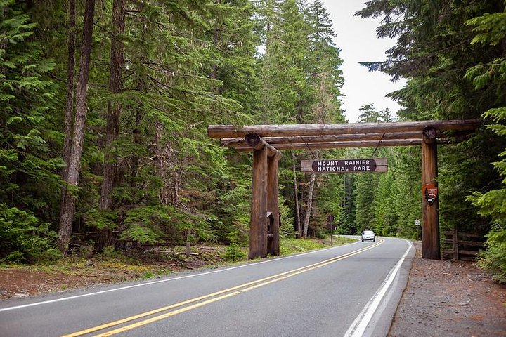 Tour en grupo pequeño explorando las maravillas naturales del Parque Nacional Mount Rainier desde Seattle, foto 23 | wizardtrip
