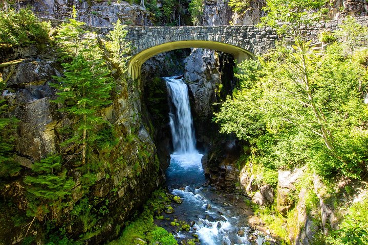 Tour en grupo pequeño explorando las maravillas naturales del Parque Nacional Mount Rainier desde Seattle, foto 26 | wizardtrip