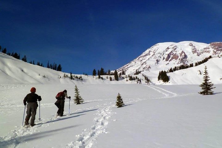 Tour en grupo pequeño explorando las maravillas naturales del Parque Nacional Mount Rainier desde Seattle, foto 28 | wizardtrip