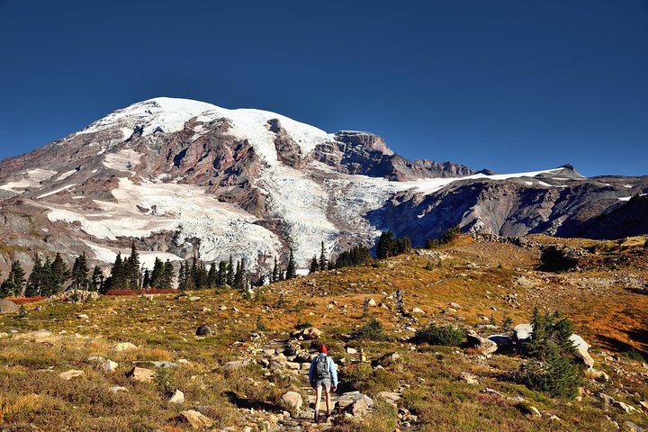 Tour en grupo pequeño explorando las maravillas naturales del Parque Nacional Mount Rainier desde Seattle, foto 31 | wizardtrip