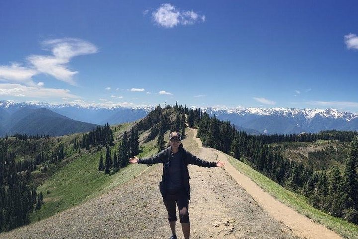 Excursion d'une journée en petit groupe explorant les divers paysages du parc national olympique depuis Seattle, photo 7 | wizardtrip