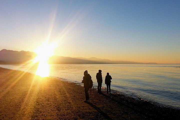 Excursion d'une journée en petit groupe explorant les divers paysages du parc national olympique depuis Seattle, photo 11 | wizardtrip