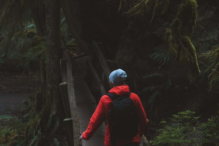 Excursion d'une journée en petit groupe explorant les divers paysages du parc national olympique depuis Seattle, photo 14 | wizardtrip