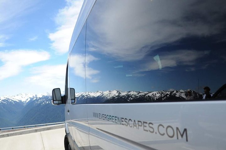 Excursion d'une journée en petit groupe explorant les divers paysages du parc national olympique depuis Seattle, photo 17 | wizardtrip