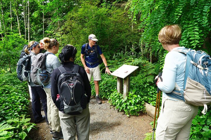 Excursion d'une journée en petit groupe explorant les divers paysages du parc national olympique depuis Seattle, photo 22 | wizardtrip