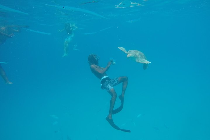 Catamaran cruise op Barbados met zwemmen met schildpadden en snorkelen, foto 7 | wizardtrip