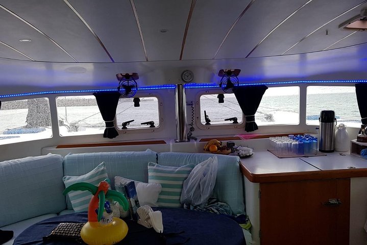 Catamaran cruise op Barbados met zwemmen met schildpadden en snorkelen, foto 10 | wizardtrip