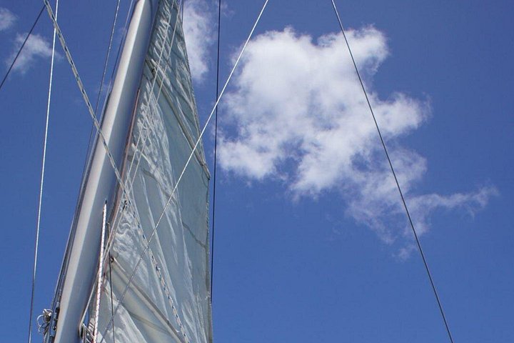 Catamaran cruise op Barbados met zwemmen met schildpadden en snorkelen, foto 12 | wizardtrip