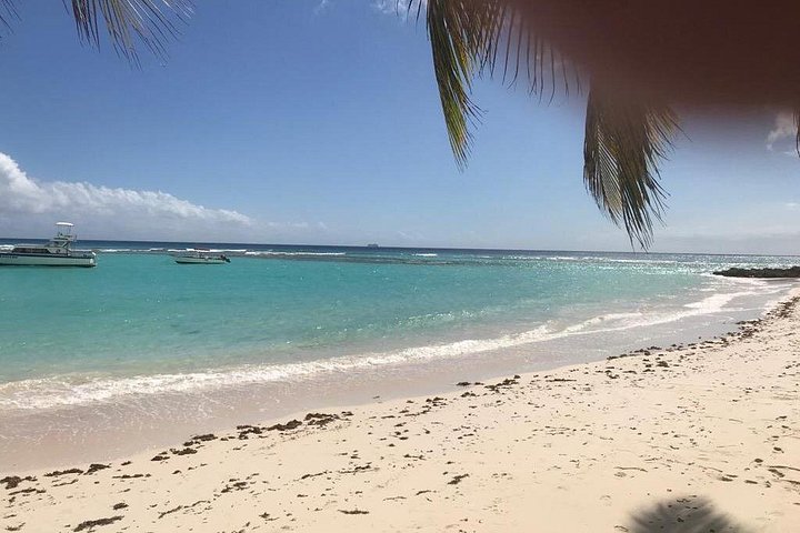 Catamaran cruise op Barbados met zwemmen met schildpadden en snorkelen, foto 20 | wizardtrip