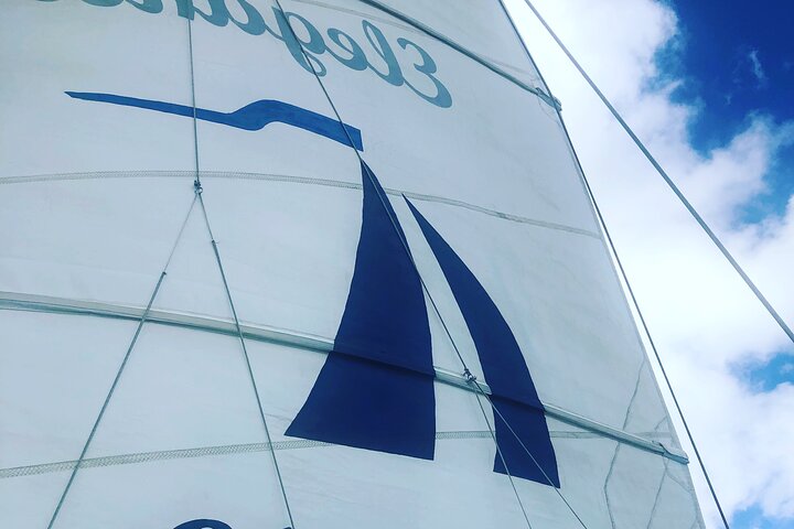 Catamaran cruise op Barbados met zwemmen met schildpadden en snorkelen, foto 30 | wizardtrip