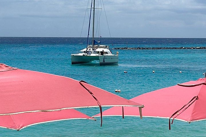 Catamaran cruise op Barbados met zwemmen met schildpadden en snorkelen, foto 31 | wizardtrip