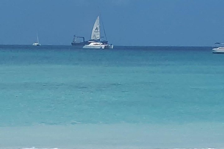 Catamaran cruise op Barbados met zwemmen met schildpadden en snorkelen, foto 32 | wizardtrip