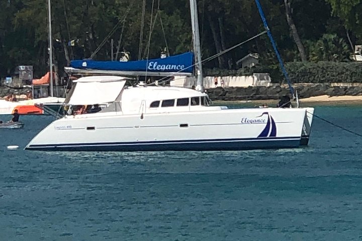 Catamaran cruise op Barbados met zwemmen met schildpadden en snorkelen, foto 35 | wizardtrip
