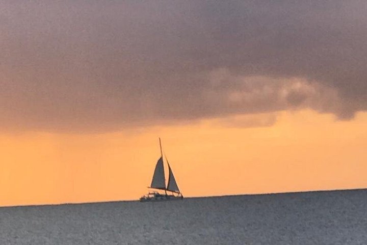 Catamaran cruise op Barbados met zwemmen met schildpadden en snorkelen, foto 36 | wizardtrip
