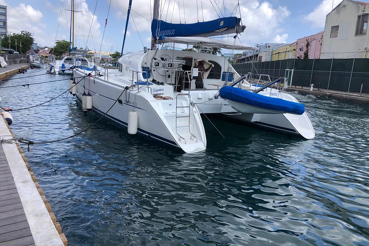 Catamaran cruise op Barbados met zwemmen met schildpadden en snorkelen, foto 39 | wizardtrip