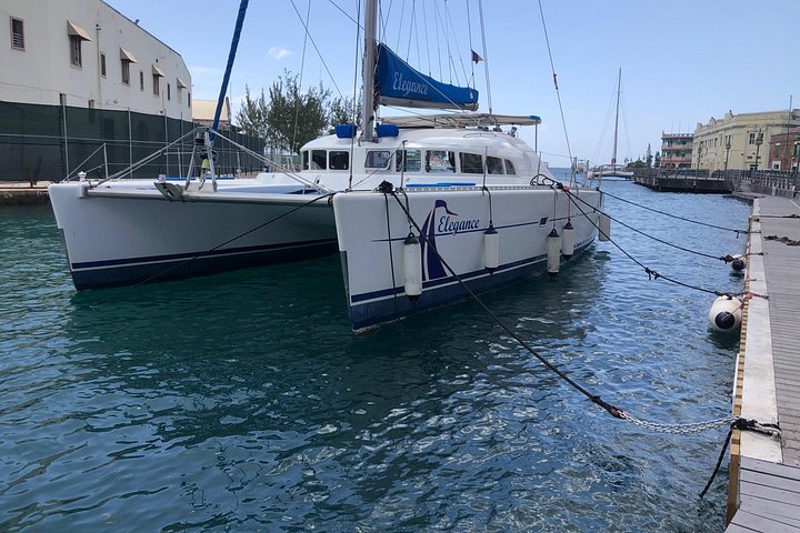Catamaran cruise op Barbados met zwemmen met schildpadden en snorkelen, foto 40 | wizardtrip