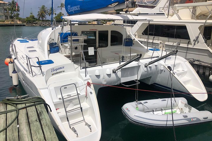 Catamaran cruise op Barbados met zwemmen met schildpadden en snorkelen, foto 44 | wizardtrip