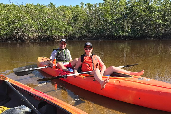 Tour en kayak por túneles de manglares en Naples, Florida, avistando manatíes y vida salvaje, foto 7 | wizardtrip