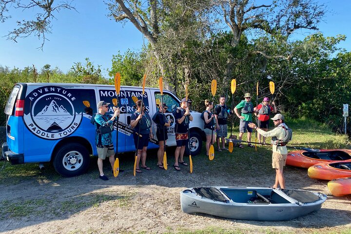 Tour en kayak por túneles de manglares en Naples, Florida, avistando manatíes y vida salvaje, foto 8 | wizardtrip