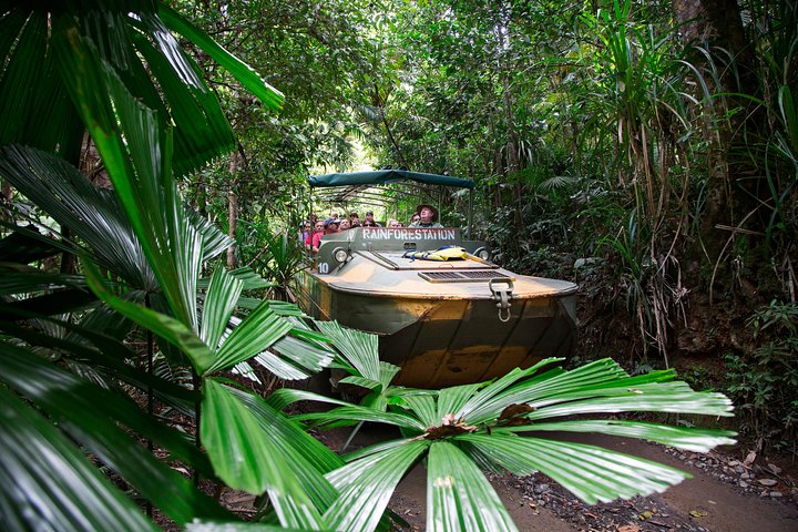 Tour di un'intera giornata nella foresta pluviale di Kuranda, Australia, con Skyrail, treno panoramico, fauna selvatica ed esperienze culturali, foto 6 | wizardtrip