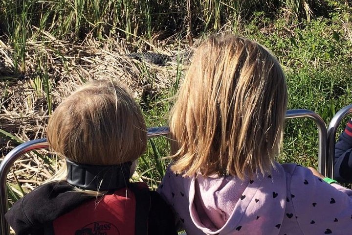 Passeio de airboat e observação da vida selvagem nos Everglades da Flórida, foto 10 | wizardtrip