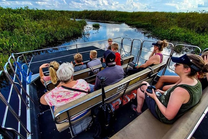 Passeio de airboat e observação da vida selvagem nos Everglades da Flórida, foto 11 | wizardtrip
