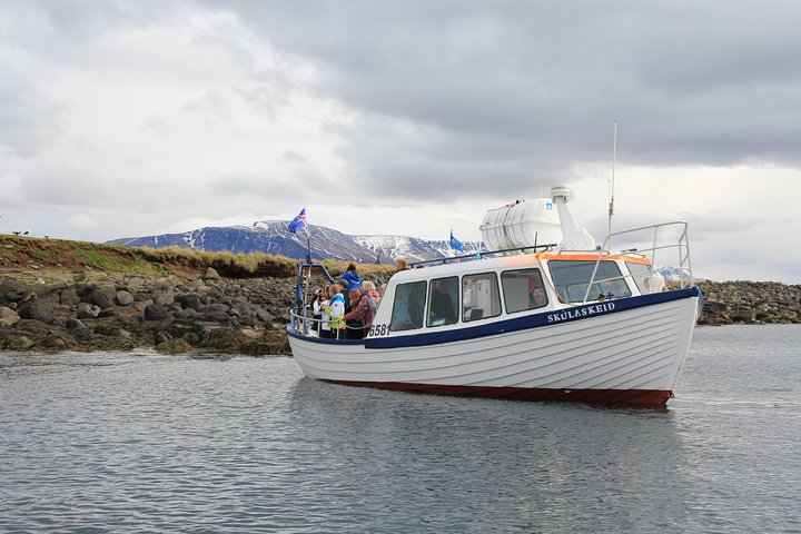 Ammira pulcinella di mare e uccelli marini in un tour in barca da Reykjavik, Islanda, foto 6 | wizardtrip