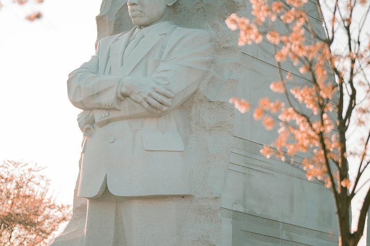 Guided E-Cart tour of Washington D.C.'s historic monuments and landmarks, including the White House, photo 21 | wizardtrip