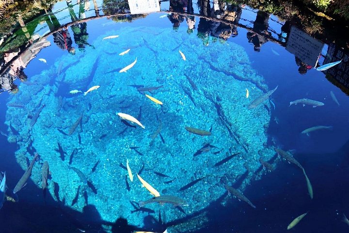 Ganztägige Tour von Tokio zum Fuji und Hakone mit malerischen Ausblicken, kulturellen Stätten und Naturlandschaften, Foto 14 | wizardtrip