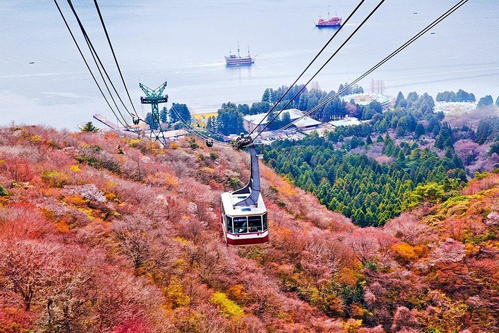 Ganztägige Tour von Tokio zum Fuji und Hakone mit malerischen Ausblicken, kulturellen Stätten und Naturlandschaften, Foto 15 | wizardtrip