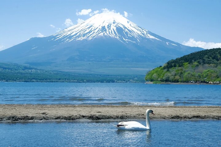 Ganztägige Tour von Tokio zum Fuji und Hakone mit malerischen Ausblicken, kulturellen Stätten und Naturlandschaften, Foto 21 | wizardtrip
