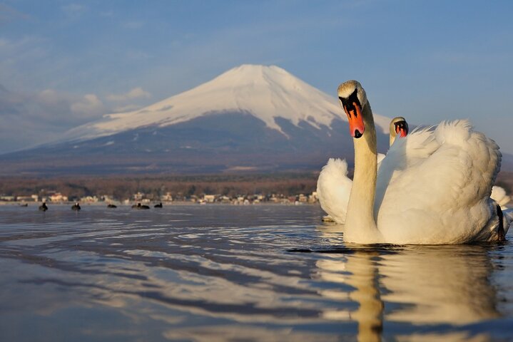 Ganztägige Tour von Tokio zum Fuji und Hakone mit malerischen Ausblicken, kulturellen Stätten und Naturlandschaften, Foto 22 | wizardtrip