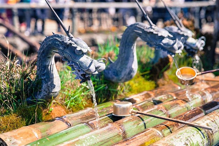 Ganztägige Tour von Tokio zum Fuji und Hakone mit malerischen Ausblicken, kulturellen Stätten und Naturlandschaften, Foto 25 | wizardtrip