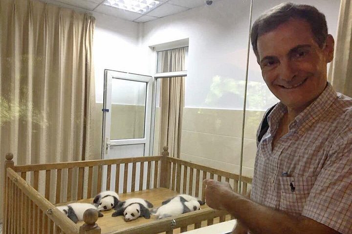 Se kjempepandaer og rød-pandaer ved Chengdu Panda Breeding Center på en privat tur, foto 7 | wizardtrip