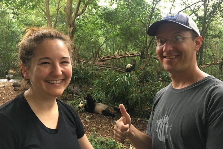 Se kjempepandaer og rød-pandaer ved Chengdu Panda Breeding Center på en privat tur, foto 9 | wizardtrip