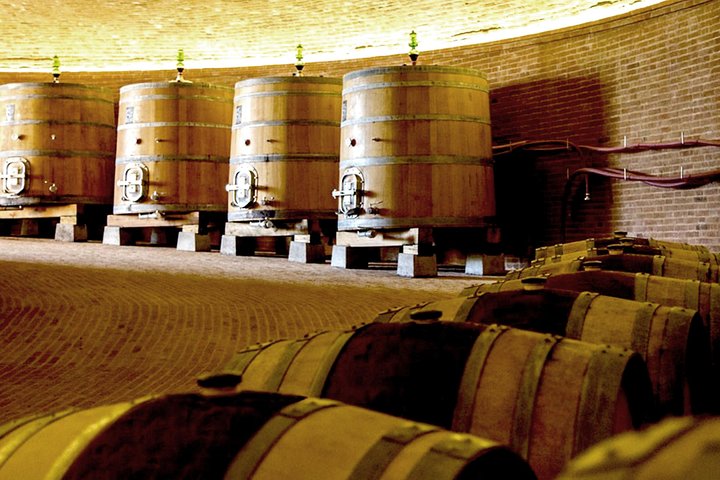 Excursion Brunello di Montalcino en petit groupe au départ de Sienne | wizardtrip