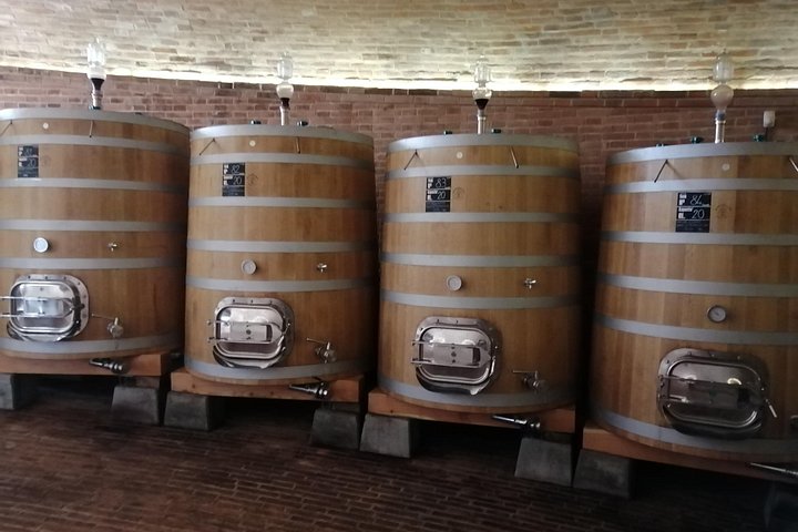 Excursion œnologique en petit groupe à Brunello di Montalcino, Toscane, Italie, photo 6 | wizardtrip