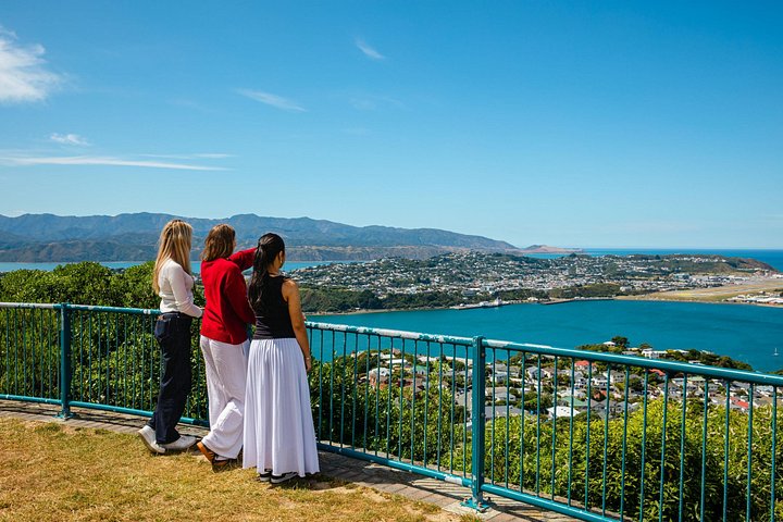 Wellington stadstur med Cable Car, Mt Victoria-vyer och kustlandskap, foto 9 | wizardtrip