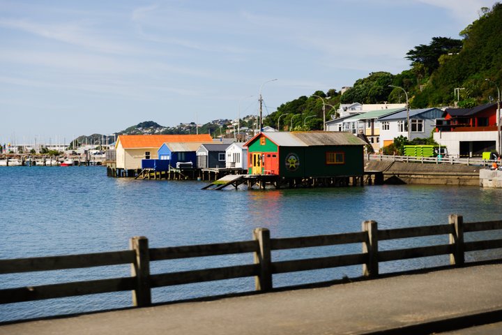 Wellington stadstur med Cable Car, Mt Victoria-vyer och kustlandskap, foto 10 | wizardtrip
