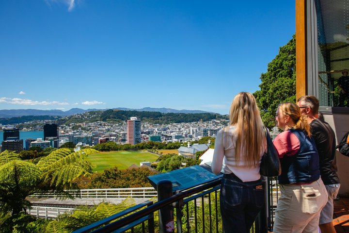 Wellington stadstur med Cable Car, Mt Victoria-vyer och kustlandskap, foto 11 | wizardtrip