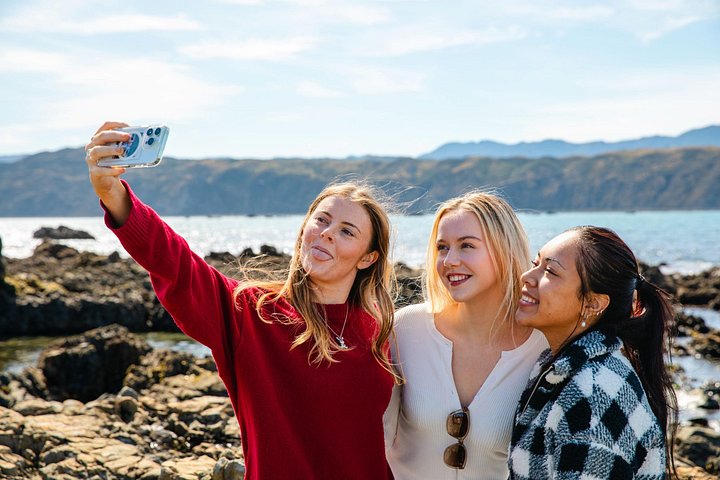 Wellington stadstur med Cable Car, Mt Victoria-vyer och kustlandskap, foto 13 | wizardtrip