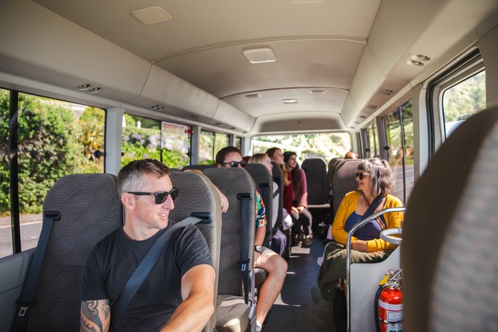 Wellington stadstur med Cable Car, Mt Victoria-vyer och kustlandskap, foto 14 | wizardtrip