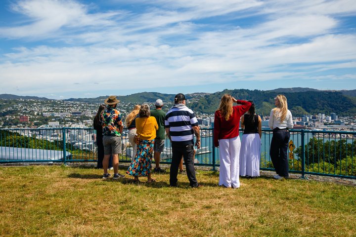 Wellington stadstur med Cable Car, Mt Victoria-vyer och kustlandskap, foto 15 | wizardtrip