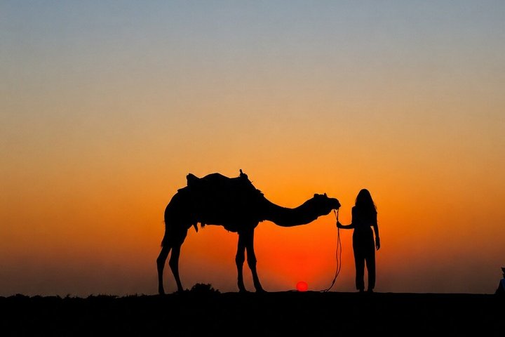 Vivi una magica serata nel deserto di Agafay vicino a Marrakech con cena, giri in cammello e spettacoli tradizionali, foto 14 | wizardtrip