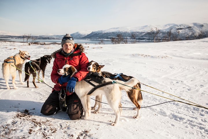 Avventura di slittata con husky self-drive nella innevata natura selvaggia artica vicino a Tromsø, Norvegia, foto 6 | wizardtrip