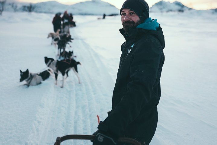 Avventura di slittata con husky self-drive nella innevata natura selvaggia artica vicino a Tromsø, Norvegia, foto 7 | wizardtrip