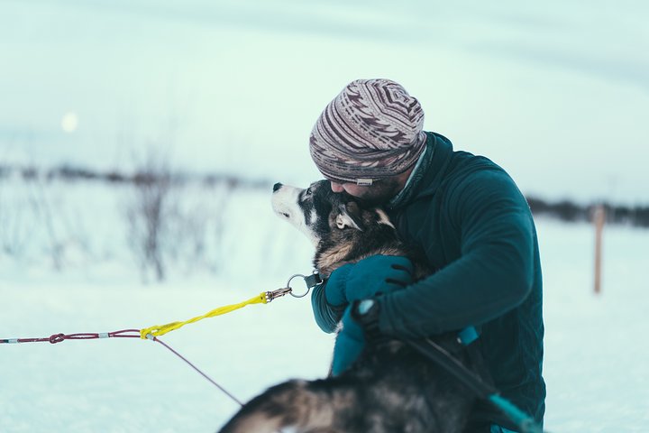 Avventura di slittata con husky self-drive nella innevata natura selvaggia artica vicino a Tromsø, Norvegia, foto 8 | wizardtrip