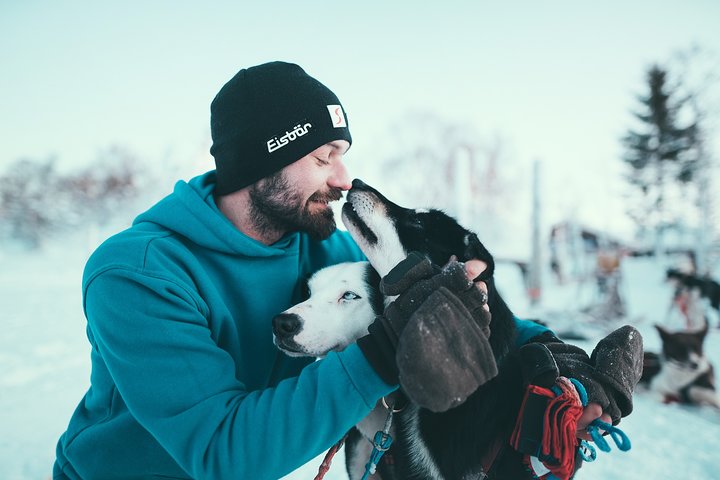 Avventura di slittata con husky self-drive nella innevata natura selvaggia artica vicino a Tromsø, Norvegia, foto 9 | wizardtrip