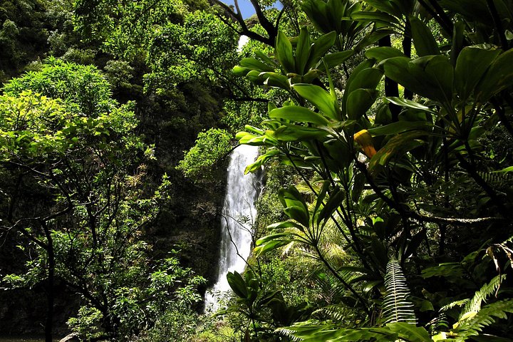 Tour en Limo-Van de lujo por la Carretera a Hana de Maui con un pintoresco vuelo en helicóptero, foto 6 | wizardtrip